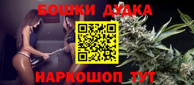 шишки Тара