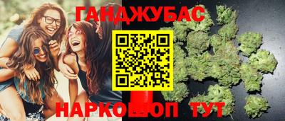 шишки Тара